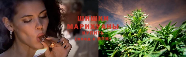 гашик Аркадак