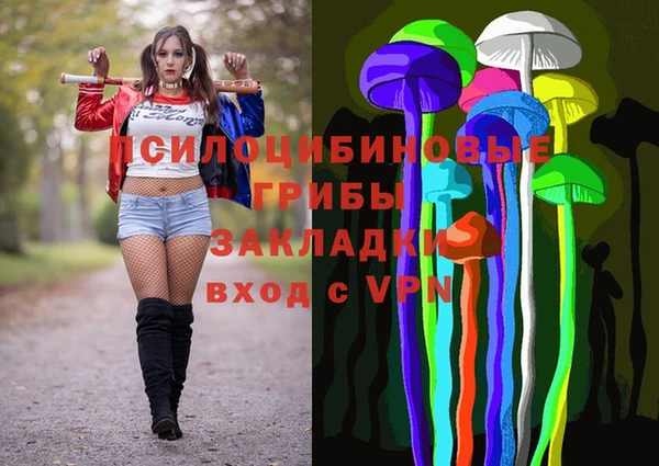 гашик Аркадак