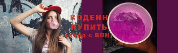 хмурый Покров