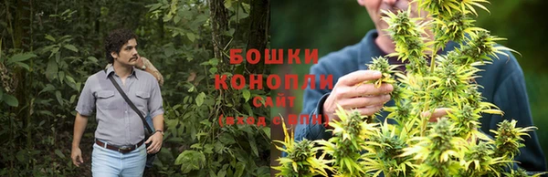 ешки Алзамай