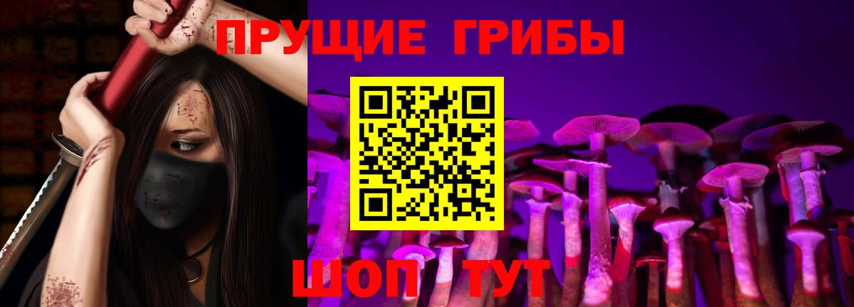 Галлюциногенные грибы прущие грибы  Вход с VPN  Тайшет  наркотики  Псилоцибиновые грибы GOLDEN TEACHER 